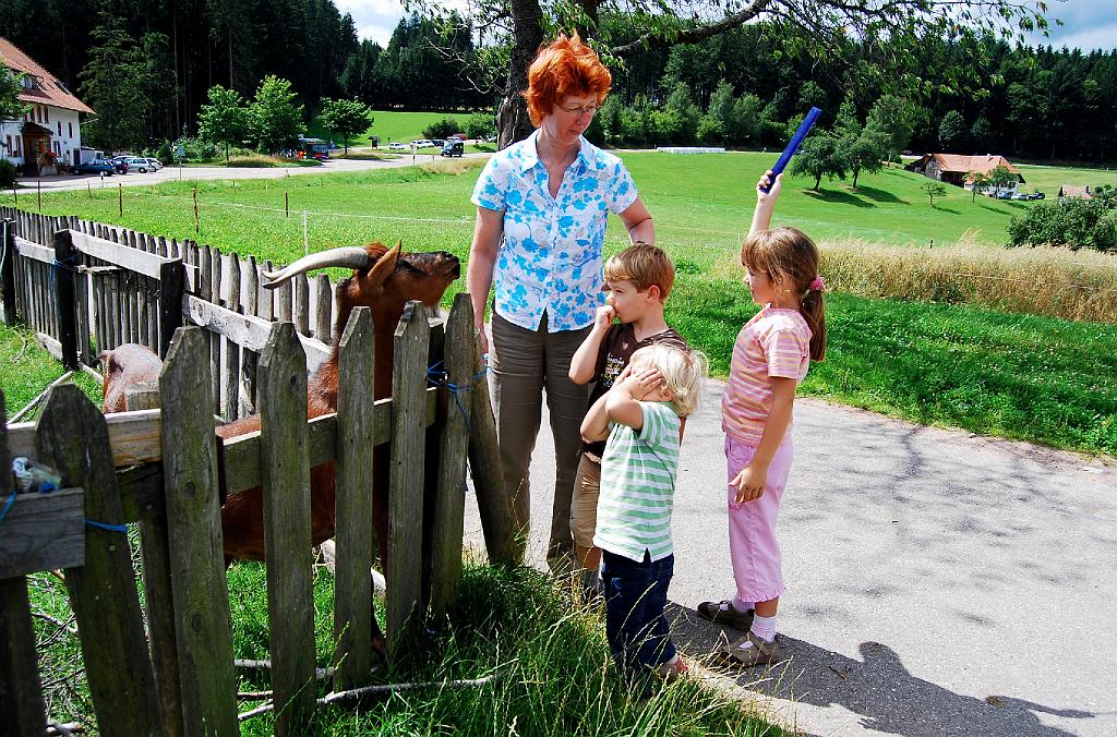 eble_geisbergfest2008_8659.jpg