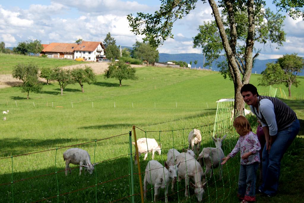 Geisbergfest2009_Eb0907_0255a.jpg