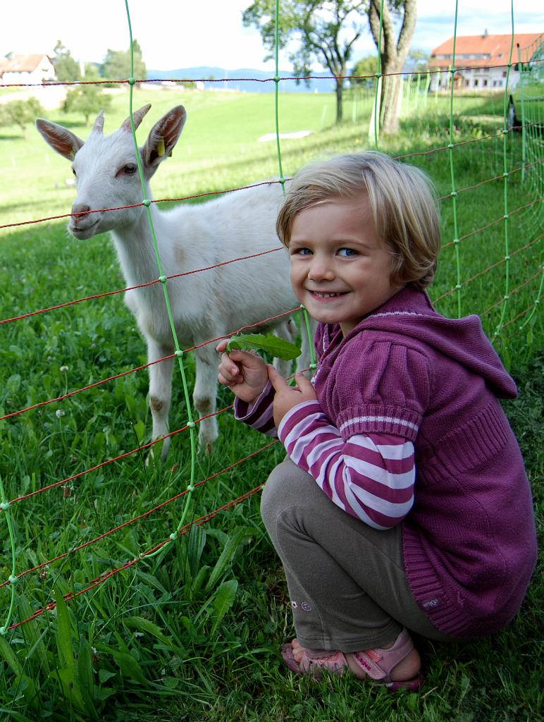 Geisbergfest2009_Eb0907_0282a.jpg
